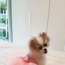 멍데렐라 이미지