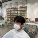 블랭크헤어룸