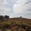 장자목장 이미지