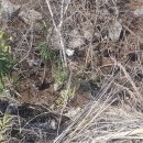 숲속청계농장 이미지