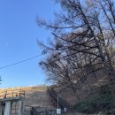 뒷골천 | 천안 산책코스 추천｜아이와 함께 걷기 좋은 천흥저수지 한바퀴 힐링 후기