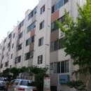 사파동148 이미지