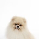 현명한선택 이미지