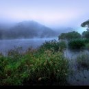 대청호펜션민박 이미지