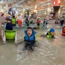 송정초교병설유치원 이미지