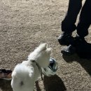 육회바른연어(방학사거리점) 이미지