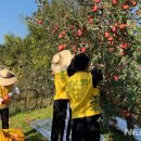 나누리봉사단 이미지