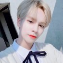 세림 카카오 검색결과