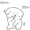 오마드 이미지
