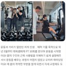 더디어짐 이미지