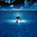 그랑블루 이미지