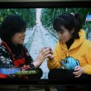 6시내고향 이미지