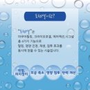 필아쿠아 이미지