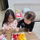 과일뭉치