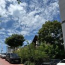 가수원로-20 이미지