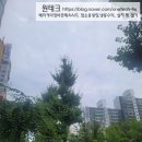 베이커리아씨시 - 고양시 일산서구 일산로 589 | 베이커리아씨시