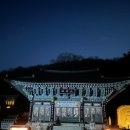 용문산카센타 | 용문사 템플스테이 후기