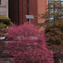 순천매산고등학교 이미지