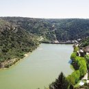 와인과 세계문화 이미지