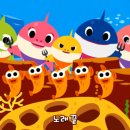 송 - 목포시 | 송