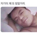 산쪼메 세종 | 2025. 05