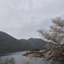 창수상회 이미지