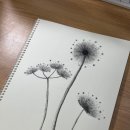 어반스케치로 생활 속 풍경 담기 이미지