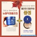 피부미용/ 헤어케어 흡수율 높은 킬레이트콜라겐 뉴매직앤콜라겐 구매시 콜라겐모찌쿠션 증정 (꽃마중수...