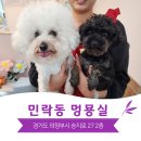 멍묭실 네이버블로그