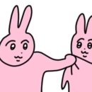 고용기 | [내채공]내채공 2년형 만기 수령 후기