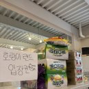 호랑이들 태권도장 이미지