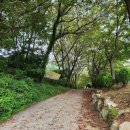 도계체육공원 축구장 이미지