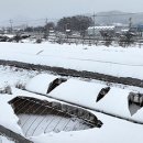 푸드포커스(food focus) 이미지