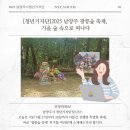 숲속으로 | [청년기자단]2025 남양주 광릉숲 축제, 가을 숲 속으로 떠나다