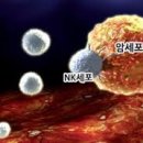 Fine S.B.S 사우나 이미지