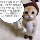 야옹아 놀자 경주점 네이버블로그