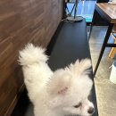 수도로포차