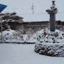 삼덕교 이미지