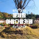 아람, 다람 이미지