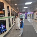 Variation | [공지] 황홀해서 눈물 핑 차이콥스키 춤추는 발레 FESTA 호두까기 인형 백조의 호수 관람 후기