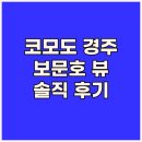 코모도호텔 경주 | 코모도호텔 경주 숙박 후기.. 보문호 뷰와 솔직한 장단점 파헤치기