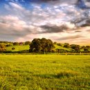 자연풍경 이미지