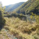 선리농장 이미지