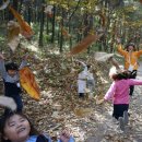 한독유치원 이미지