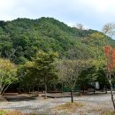 캠핑소리251 이미지