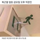 (주)씨씨마트 포스코지점 | 10월 첫째주 주간일기(금~월), 알럽유마프렌즈