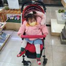 바니플랫대동 이미지
