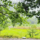 푸른숲 민박 이미지