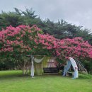 개비리길 펜션 이미지