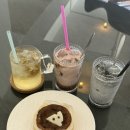 판타스틱코인노래연습장 대전관평점 이미지